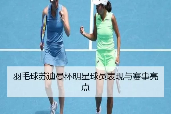 羽毛球苏迪曼杯明星球员表现与赛事亮点（HTH SPORTS）